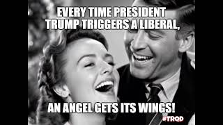 Every time President Trump triggers a liberal    🤣
