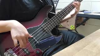TurtZone Live Bass
