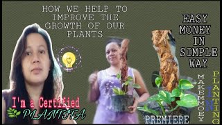 LETS  BE MORE CREATIVE IN PLANTING☘☘   #IBANEZ  #PLANTITA #PLANT LOVERS