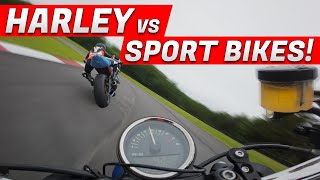 Harley Sportster VS Sport Bikes ON TRACK!