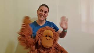 Our Christmas surprise for you: Musical Monkeys Advent Calendar