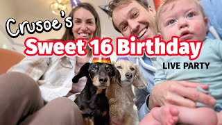 Crusoe's 16 Birthday (LIVE - redo/real one!)