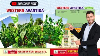 Guar Variety@AGRICULTUREINDIA