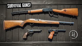 SURVIVAL GUNS!  What I Use to Defend the Homestead Longterm