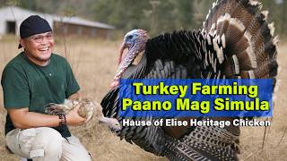22 Kilograms na Pabo, Solid sa Laki at Bigat Broad Breasted Turkey