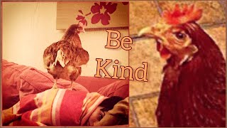 Be Kind