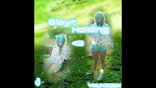 Slayr - holding