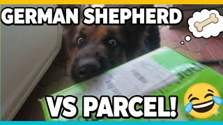 🐶“My German Shepherd Leo Got Crazy for His Parcel 📦😂” |#dogvlog #vlog #germanshepherd #dog #petvlog 