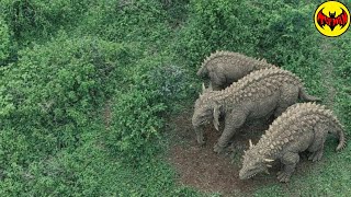 A Drone Captured Something in the Congo Jungle That Defies Explanation