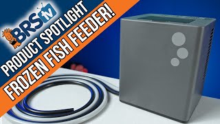 Your Reef Tank's New Personal Chef!