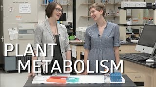 Plant metabolism! GCMS!