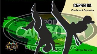 Mestre Nescau Capoeira Camboatá #viral #capoeira #brasil #music #usa #memes #capoeiraregional #vmb
