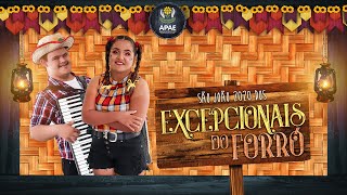 São João 2020 dos Excepcionais do Forró