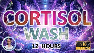 Cortisol Wash for Deep Sleep | Gentle Night Hum to Calm the Nervous System & Anxiety | 12 Hours