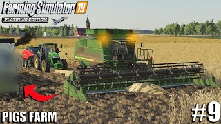 New Truck and Biggest Wheat Harvest Yet | 1000 Pigs |Farming Simulator 19 | #9