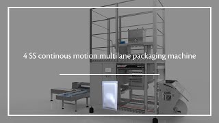 RM-450 - 4SS Continous motion packaging machine