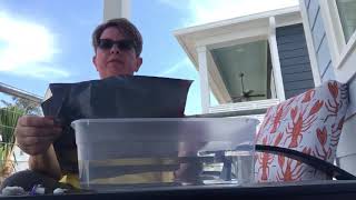 Video #17 New Science Experiment with Mrs. May