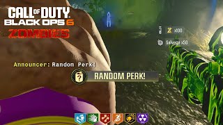 FREE Random Perk Easter Egg Guide on Terminus! (Black Ops 6 Zombies)