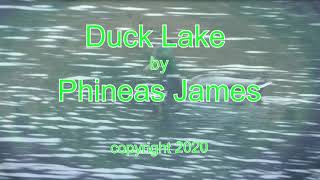 Duck Lake - Phineas James - Electronica - copyright 2020