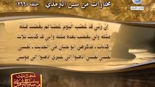 شبكة المجد