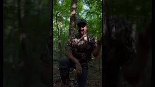 Wondering about the wind? How V shaped draws,Thermals and Wind work together #bowhuntingwhitetails