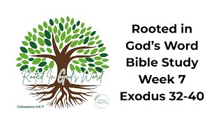 Exodus 32-40 - Rooted in God's Word Bible Study - Week 7