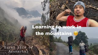 A day in my life in Mountains⛰️😮‍💨|Arunachal Pradesh |Farming Life👨‍🌾🕊️