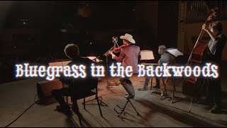 Bluegrass in the Backwoods