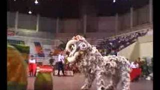 新山白鹤派武术体育会比赛片段 1