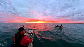 Kayak Fishing for Pink Snapper.