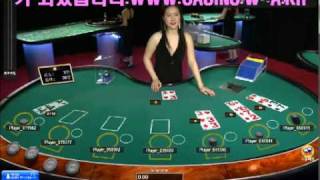 korean hot live dealer 강원랜드룰렛