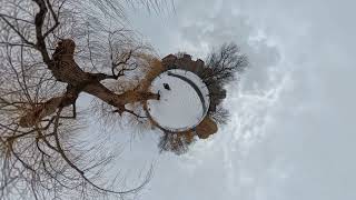 Boston Public Garden in Winter, #20 (360-Degree Little Planet) 4K