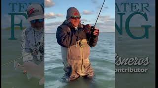 Mum’s the Word! Fish React Negatively to Noise!