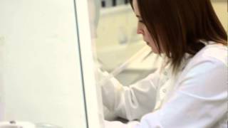 Eye and brain development, function and disease