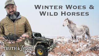Breakdown in the Basin: Winter Woes & Wild Horses