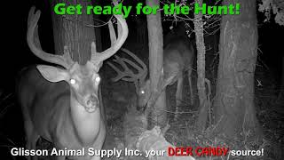 Glisson's Animal Supply Inc