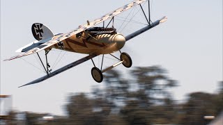 Live Stream Premier! The 1917 German Albatros D Va Trailer