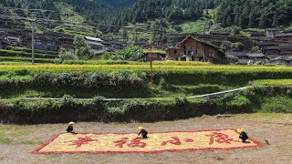 Live: China issues white paper on moderate prosperity