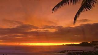 🌺 ALOHA - Hawaii Music 2022 *Top Picks*