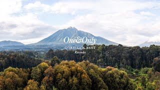 One&Only Gorilla’s Nest - Awe-Inspiring Adventures