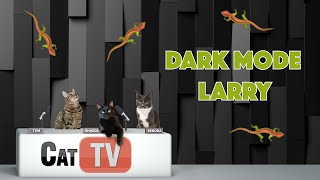 Members Only - Ad Free |🦎 Dark Mode Larry: Late-Night Lizard Hunt for Cats | Larry the Lizard