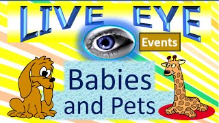 Babies Pets Super Cute - Fun Love and Play