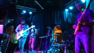 Hatchling "16 Pixel" live @ West End Trading Co. 7/2/2017  Sanford, FL