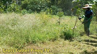 PART 2 TRIMMING THE OVERGROWN GRASS AND WEEDS AT THE YOUNG LANZONES FARM