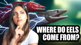 Shocking Mysteries That Remain UNSOLVED