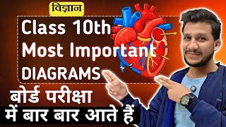 Learn to make most important diagrams of class 10th science || Learn pictures of class 10th scien...