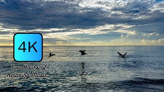 Take a Beach Break | 4k Relaxing Screensaver  | Jupiter Beach
