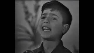 Zecchino d'oro 1962  - Una stella di latta