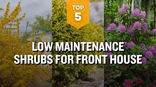 TOP 5 Low Maintenance Shrubs for Front House 🌼🌳 Garden Landscaping
