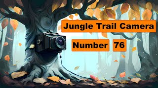 JUNGLE TRAIL CAM 76